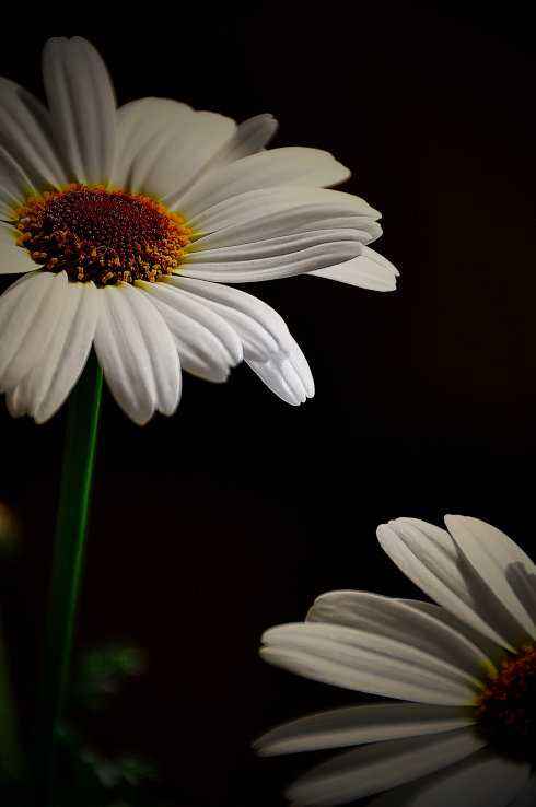 南醫大女生被殺案告破。20年追訴時效限定下,兇手能逃脫制裁嗎?